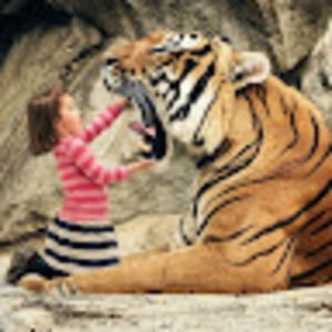 Meet your Posher, Tyler